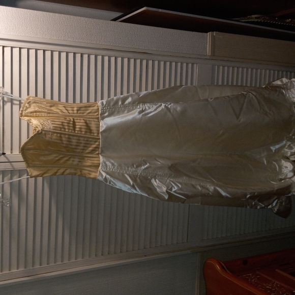 Authentic Corset Dress - Picture 3 of 4